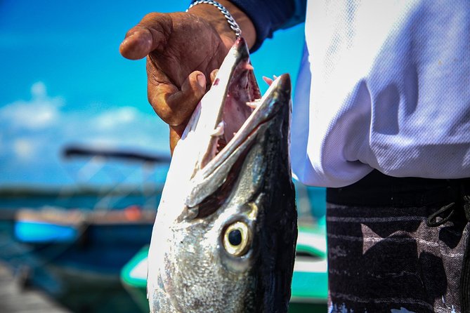 Local Fishing Plus Snorkeling Tour in Isla Mujeres - Inclusions