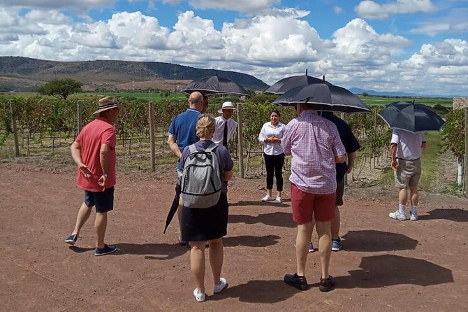 Local Vineyard Tour & Wine Tasting at the Independence Valley - Included Amenities