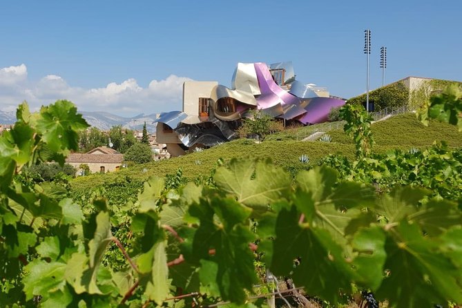 Logrono Small-Group Half-Day Wine Tour  - Pamplona - Meeting and Pickup Details