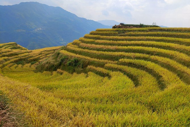 Longji Rice Terraces Day Tour From Guilin Hotel | Travel Buddies