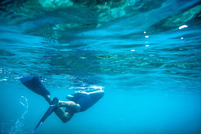 Los Cabos Snorkeling Tour to Chileno Bay and Santa Maria Cove - Guided Experiences