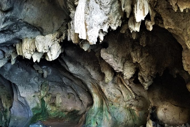 Los Haitises National Park Hiking + Kayaking - Hiking Through the Lush Landscape