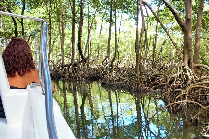 Los Haitises National Park With Lunch at Caño Hondo From Samaná Port. - Highlights of Los Haitises National Park