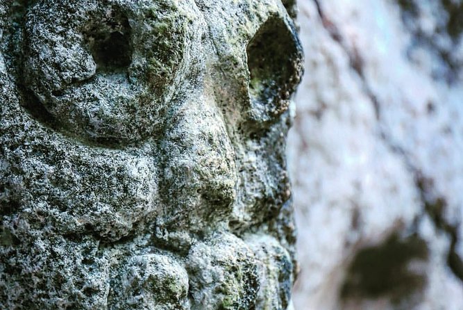 Los Haitises Private Boat Tour - Discovering the Caves and Pictographs