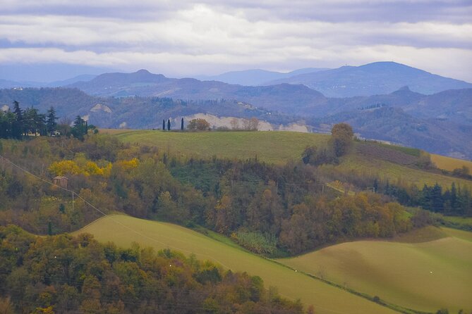 Lovely Hills of Bologna: Express Train to San Luca With Tastings - Negative Feedback