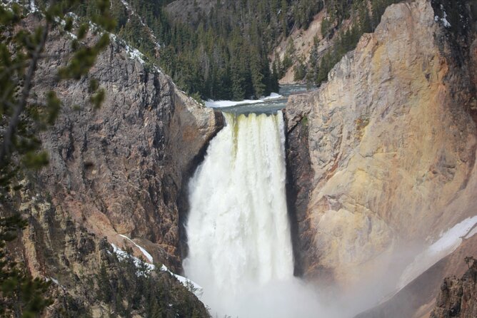 Lower Loop Yellowstone Wildlife Scenic - Jackson Hole Day Tour | WY - Inclusions and Amenities