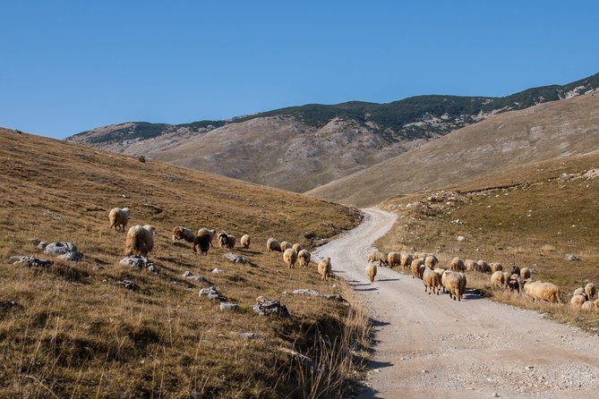 Lukomir Village Tour - From Sarajevo - Scenic Hike Experience