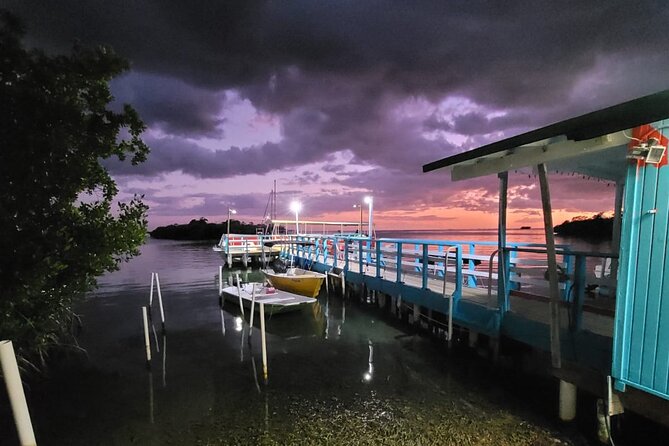 Luminous One Puerto Rico- Bio Bay Boat Ride With Swimming - Bioluminescent Bay Experience