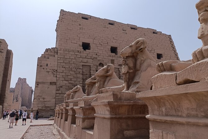 Luxor Day Trip From Hurghada - Transportation and Comfort