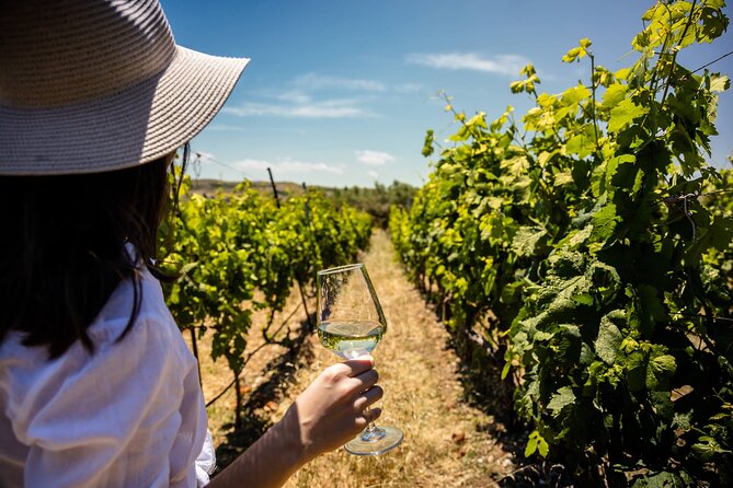 LUXURY PRIVATE Wine Tasting in CRETE (also for CRUISE SHIPS) - Experience Overview
