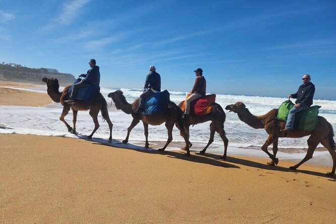 Luxury Tangier Private Day Tour From Tarifa Spain All Inclusive - Pricing and Booking Information