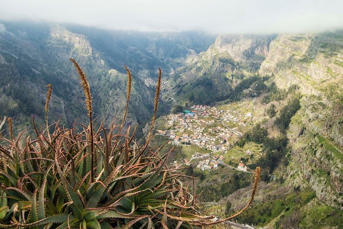 Madeira Half Day Small-Group Tour From Funchal - Booking Information