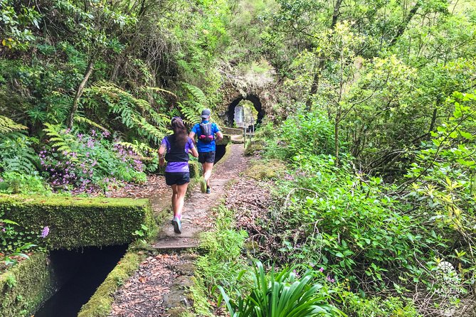 Madeira: Laurisilva Private or Small-Group Running Tour  - Funchal - Meeting and End Points
