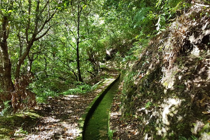Madeira: Private Guided Levada Dos Tornos Boaventura Hike - Tour Itinerary and Duration