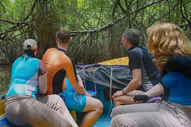 Madu River Safari at Balapitiya - Pickup and Transport Details