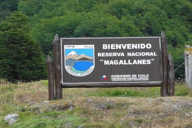 Magallanes Reserva and City Tour. Private Shore Excursion. - Pickup Information