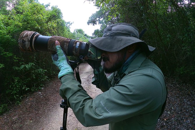 Mahahual and Costa Maya Birdwatching - Tour Highlights