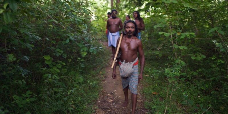 Mahiyanganaya: Overnight Tour to Undiscovered Village - Itinerary Highlights