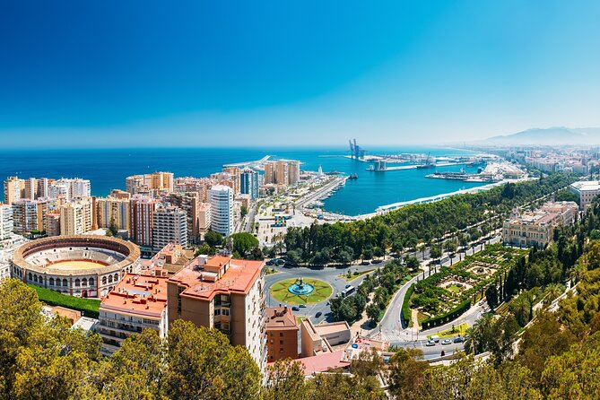 Malaga Highlights Tour, Picasso Museum & Marbella From Seville - Tour Accessibility and Logistics