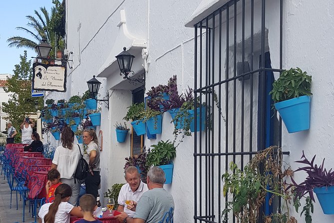 Malaga Private Shore Excursion: Malaga Highlights & Mijas White Washed Village - Tour Features
