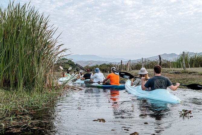 Mangrove Kayaking Tour - Inclusions