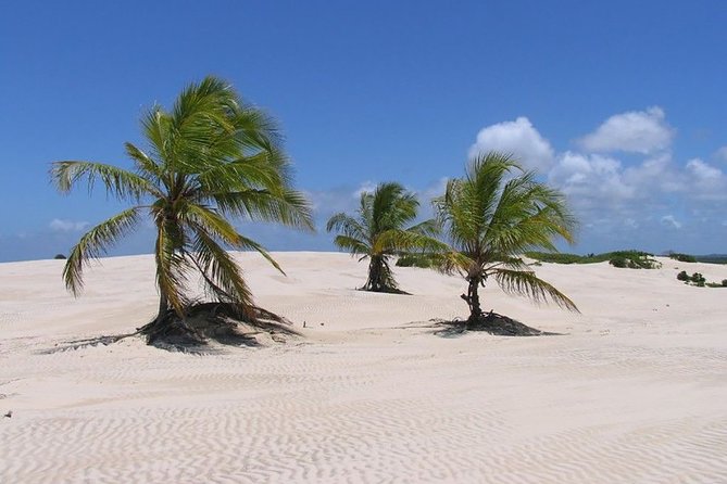 Mangue Seco Day Trip: Boat Ride, Sand Dunes and Swimming - Included in the Day Trip