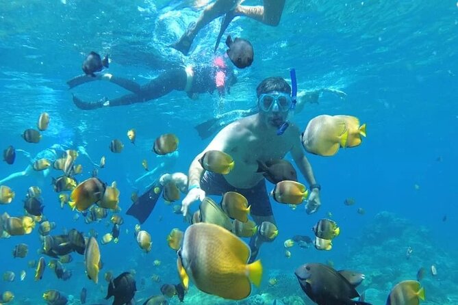 Manta Bay Snorkeling Adventure With Kelingking Beach Nusa Penida All Inclusive - Meeting and Pickup Details