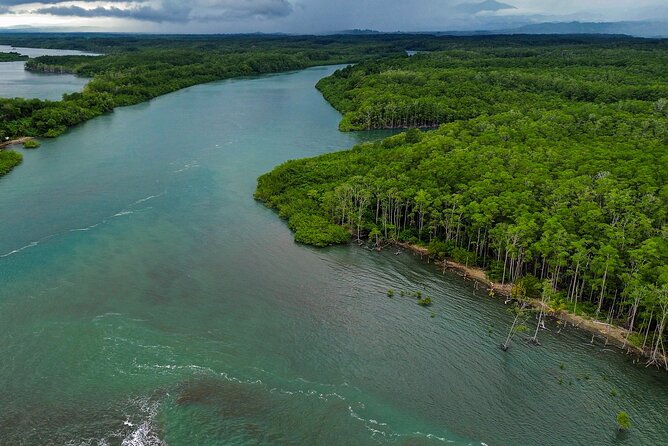 Manuel Antonio Mangrove Boat Tour - Inclusions and Amenities