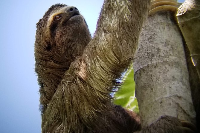 Manuel Antonio Park Nature Guided Tour - Meeting and End Points