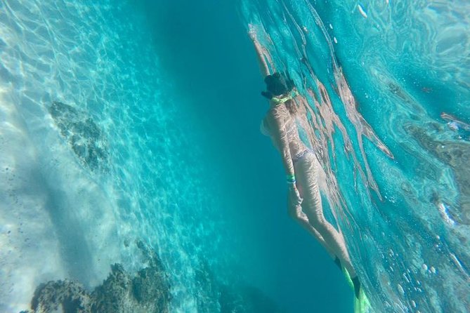 Marietas Islands Snorkeling Tour - Tour Experience