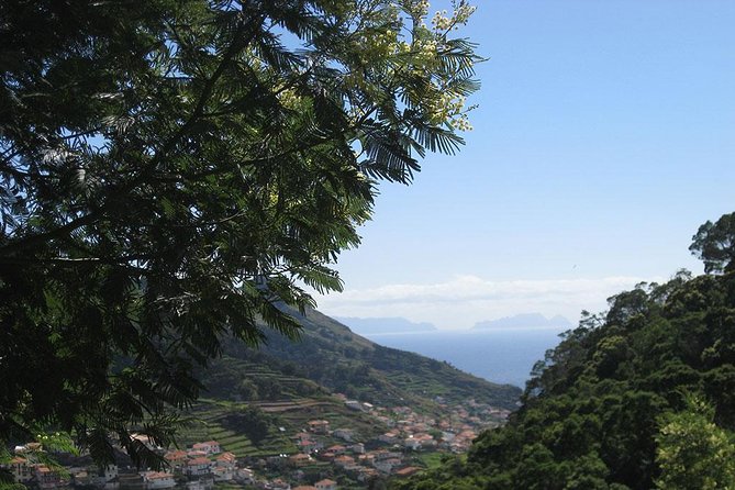 Maroços Mimosa Valley Levada Walk From Funchal - Experience Highlights