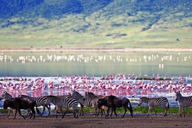 Masai Mara Game Reserve Safari Tour, 4 Days 3 Nights - Daily Itinerary