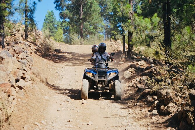 Masca Valley Guided Buggy Tour With Lunch, Day & Sunset - Adventurous Buggy Tour Experience