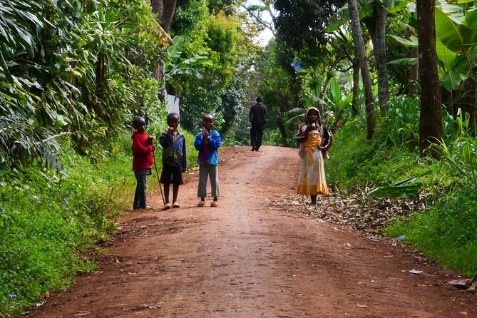 Materuni Waterfall Cycling Day Trip - Cycling Through the Scenic Countryside