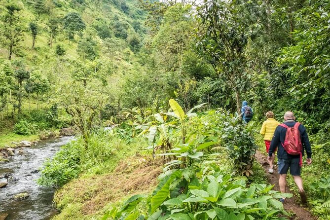 Materuni Waterfall Hike & Coffee Tour - Highlights of the Experience