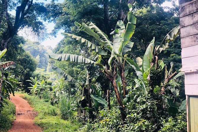 Materuni Waterfalls and Coffee Tour - Scheduling and Accessibility