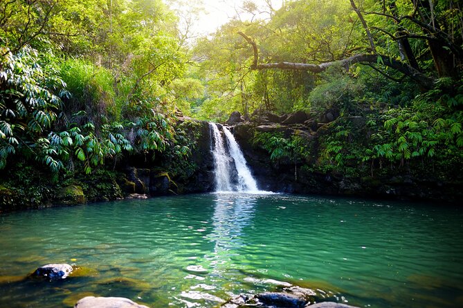 Maui Beach Parks Self-Guided Driving Tour - Flexible Itinerary Options