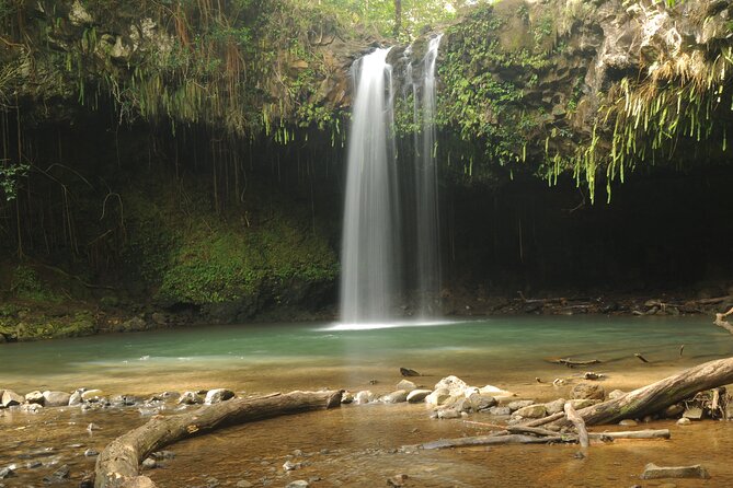 Maui Part-Way to Hana North Shore Sightseeing & Photography Tour! - Unique Features of the Tour