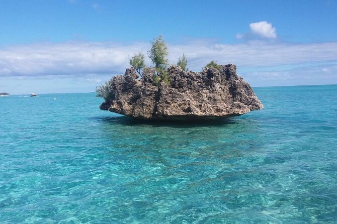 Mauritius : Dolphins Swim and Ile Aux Bénitiers With BBQ - Dolphin Swimming Experience