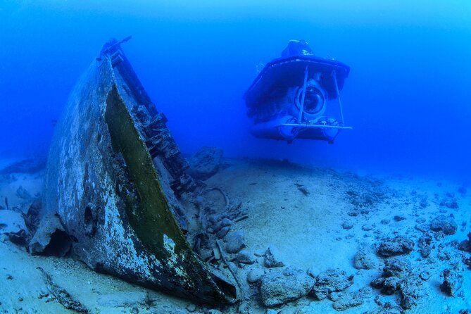 Mauritius Unique Submarine Tour - Group Size and Intimacy