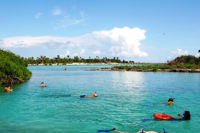 Mayan Adventure Snorkeling Tour From Playa Del Carmen or Riviera Maya - Meeting and Pickup Information