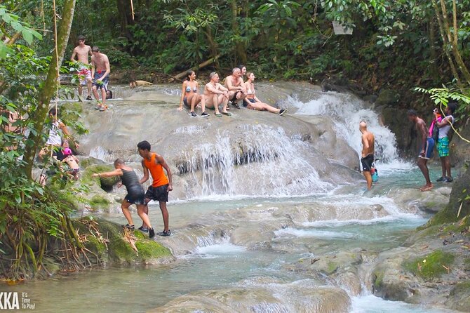 Mayfield Falls River Walk Private Tour - What to Expect