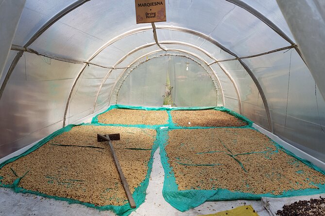 Medellin Fun and Informative Half-Day Coffee Farm Tour - Learn About Coffee Production