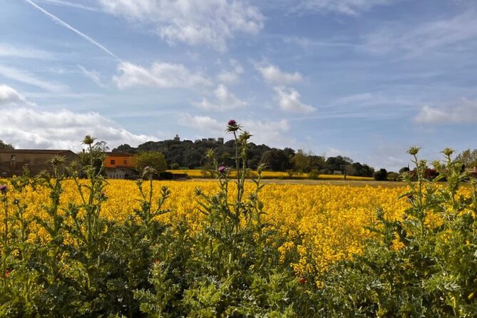 Medieval Bike Tour With History and Gastronomy - Gastronomic Delights