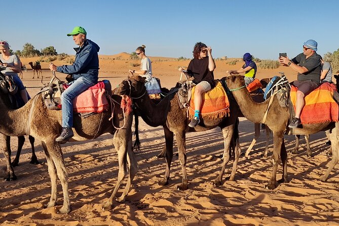 Merzouga Sahara & Erg Chebbi Luxury Bivouac - Savor Authentic Moroccan Cuisine