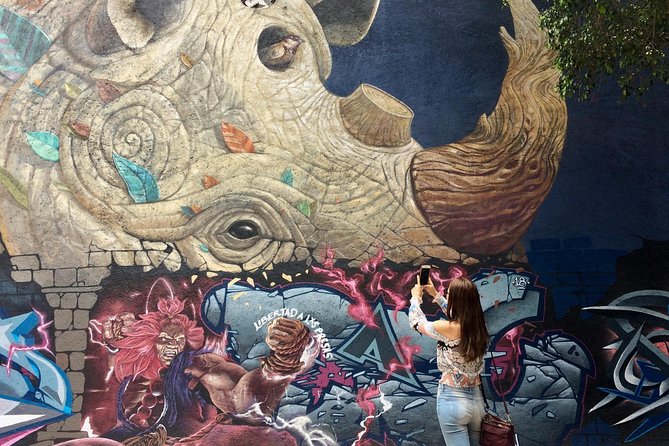 Mexico City Private Street Art Tour - Key Features