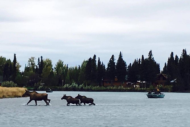 Middle Kenai River Full-Day Fishing Trip - Essential Equipment Provided