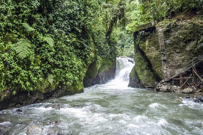 Mindo From Quito - Private Tours - Transportation and Pickup