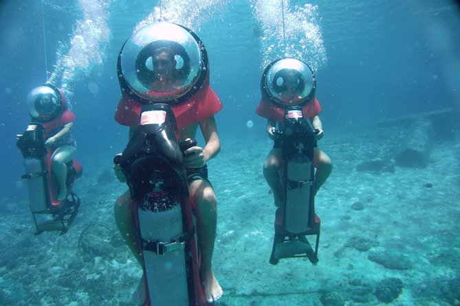 Mini-Sub Dive Tour From Cozumel - What to Expect