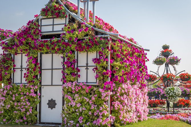 Miracle Garden In Dubai - Admission Details